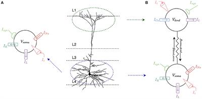 Beyond LIF Neurons on Neuromorphic Hardware